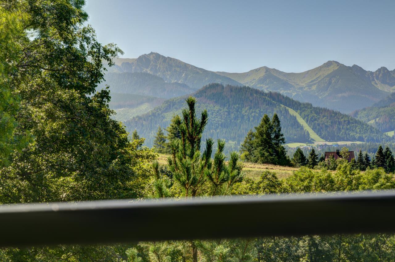 Apartamenty Willa Olsza Wood House & Mountain View & Sauna Zakopane Extérieur photo